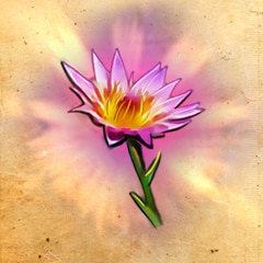 World-Class Botanist