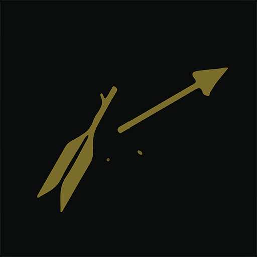 Flyswatter