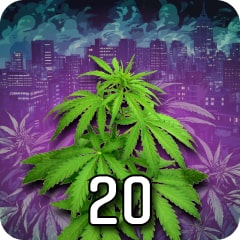 Master Grower