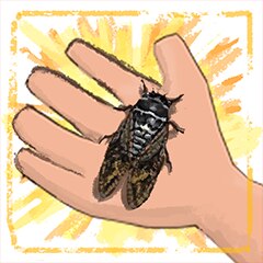 Cicada Connoisseur