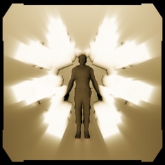 The Awakener