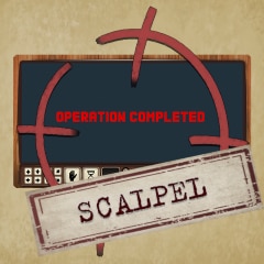 Operation "Scalpel"