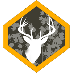 Beech Woods trophy buck