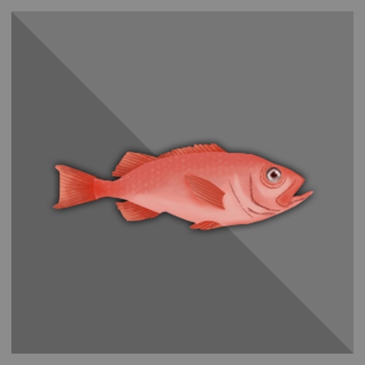 100 kg Red Fish