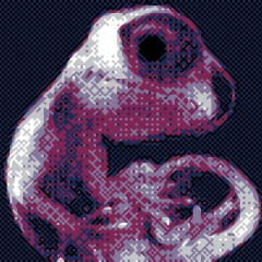 Volt Womb