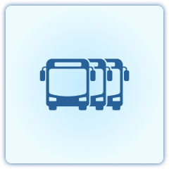 Bus Collector