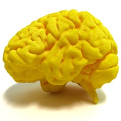 EARDRUM &ndash; GUM &ndash; THUMB &ndash; CRUMB