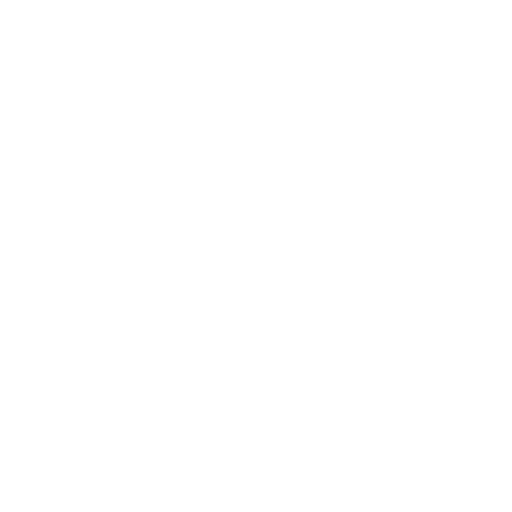 Act 4 Veteran