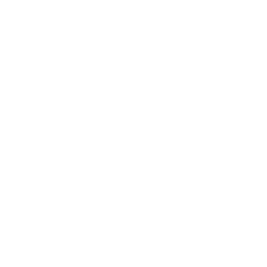 Survive 10