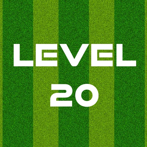 Complete Level 20
