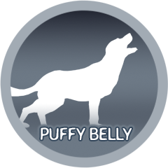 Puffy Belly