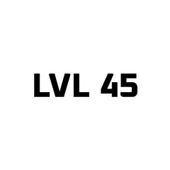 LEVEL 45
