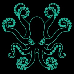Decoy Octopus