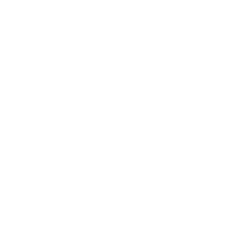 Space Battleship Phoenix