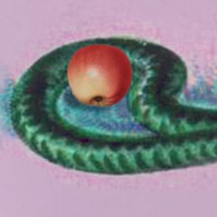 Selfish Snake