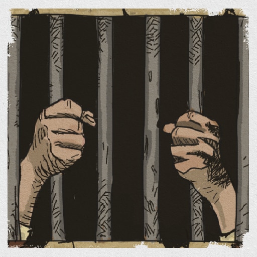 The Egyptian Prison System