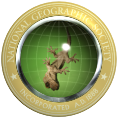 Nat Geo Researcher