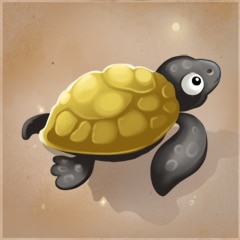 Befriend a Turtle