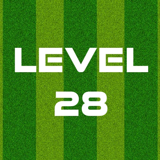 Complete Level 28