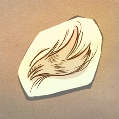 Dog Hair