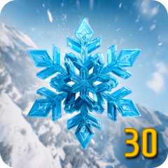 SnowflakesCollector