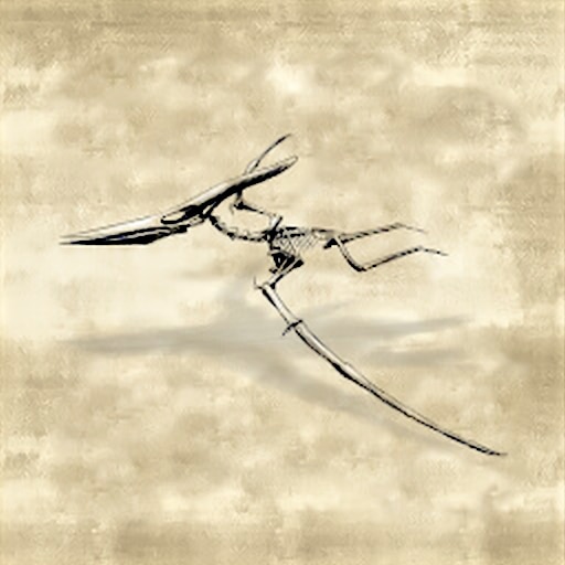 Fly high!