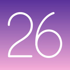 Total Score 26