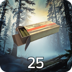 Ammo Hoarder