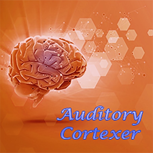 Auditory Cortexer