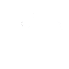 Master Spelunker