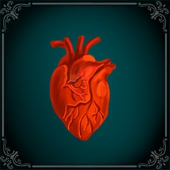 Heart