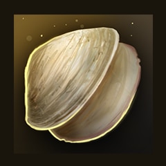 Shell shock