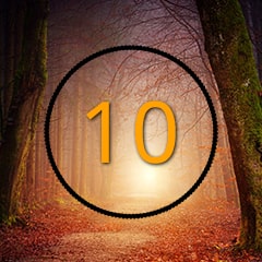 The 10