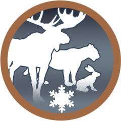 All Winter Animals…Check