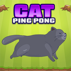 Cat Ping Pong master