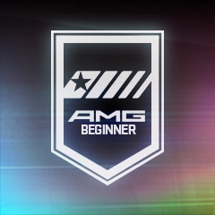 AMG Beginner