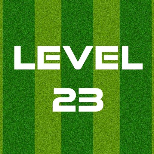 Complete Level 23