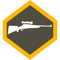 Rifle qualified