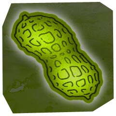 Darknut