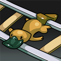 Beaver duck