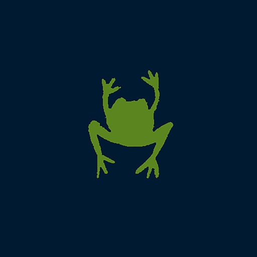 Frog&rsquo;s Apprentice