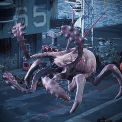 Release the Kraken!