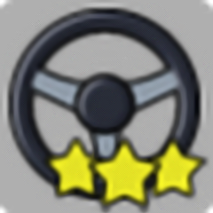 Expert Driver