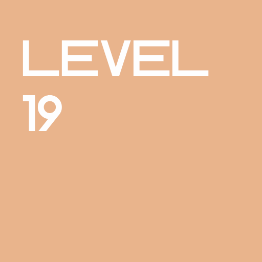 Level 19
