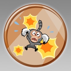 Marmoset Terrorizer