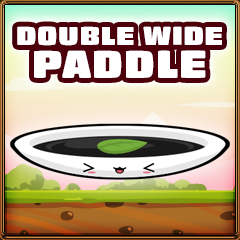 Double wide paddle collected