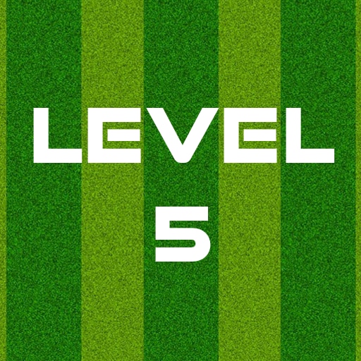 Complete Level 5