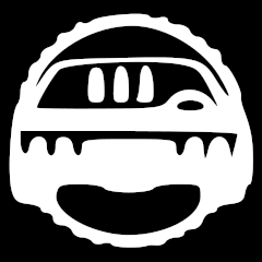 Car enthusiast 3