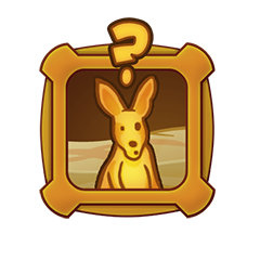 Where are the Kangaroos?