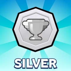 Silver League Champion